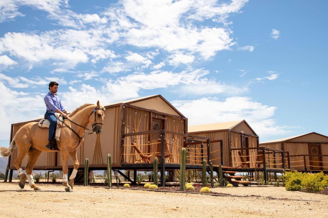 Indomito Resort & Hotel Boutique Valle de Guadalupe Exteriör bild
